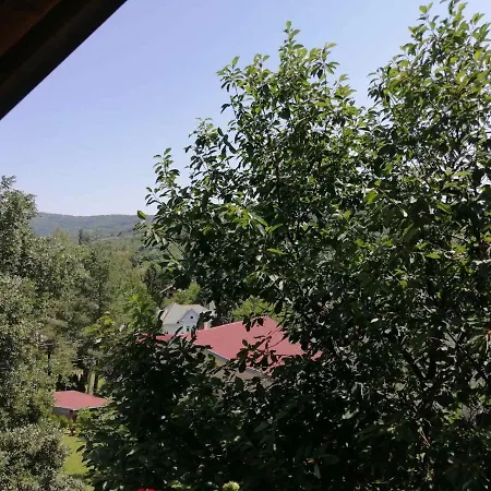 Alpehytte Brvnara Fruska Koliba